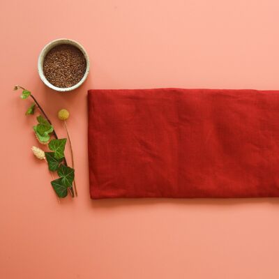 Large dry flaxseed hot water bottle and its washable cover - Brick