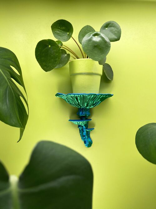 Amanitapilz Wandregal - exklusive Wanddekoration für Pflanzen oder Dekorationen