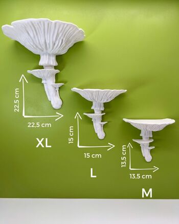 Etagère murale champignon Amanita - décoration murale exclusive pour plantes ou décorations 16
