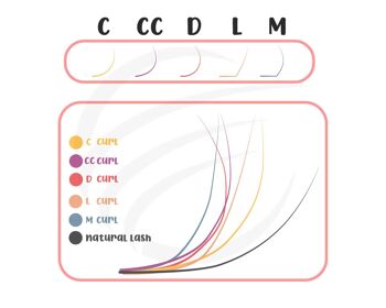 Pré-Faits, CC/D, 5D, Fans, Volume Lash, Bouquets, 0,07mm 4