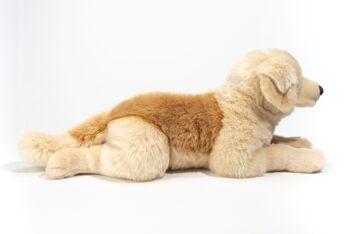 Golden Retriever couché 60 cm - peluche - peluche 3