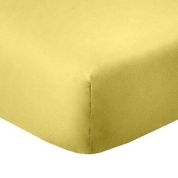 2 Draps housse 80x200 +35 cm Coton 57 fils Gold 2