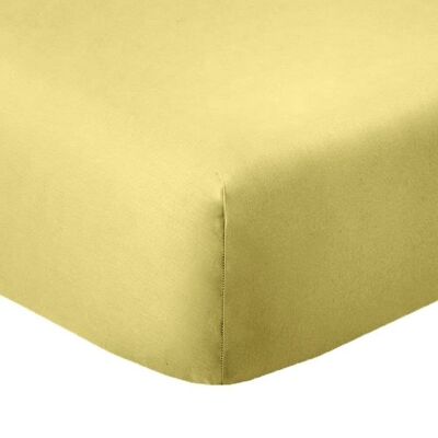 Fitted sheet 160x200 +35 cm Cotton 57 threads Gold