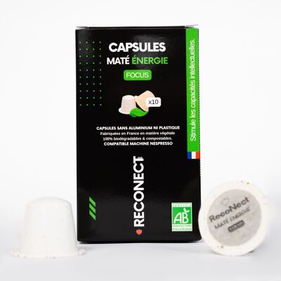 Capsules Maté Énergie - Focus - Boite de 10 capsules