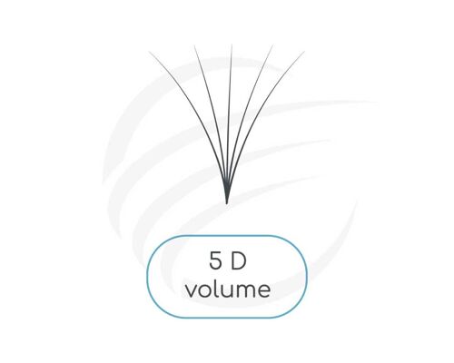 Pré-Faits, L /M, 5D, Fans, Volume Lash, Bouquets, 0,05mm