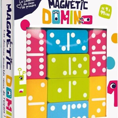 Domino magnetico