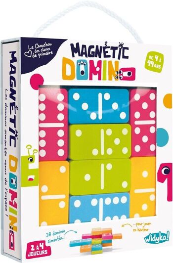 Magnetic Domino 1