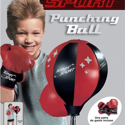 Punching Ball and Gloves