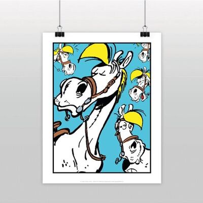 CARTEL DE EXPRESIONES JOLLY JUMPER