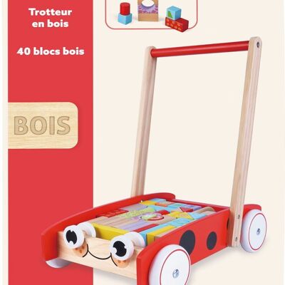 Trolley 40 Wooden Cubes