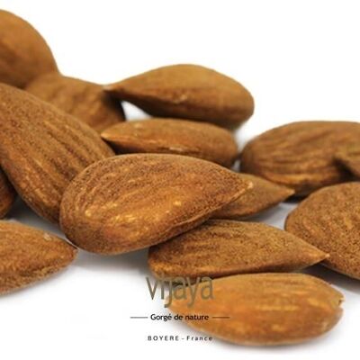 DRIED FRUITS / Shelled Almond - VIJAYA SELECTION - SICILY - 5 kg - Organic* (*Certified Organic by FR-BIO-10)