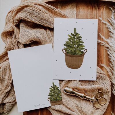 Christmas card Christmas tree in a basket - Christmas postcard fir tree