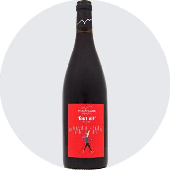 Vin de Savoie Tout'Vit Rouge 2023 2
