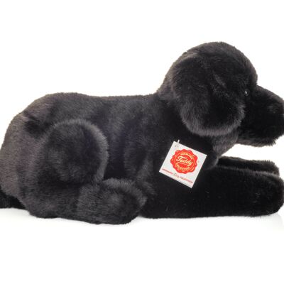 Labrador couché noir 30 cm - peluche - peluche