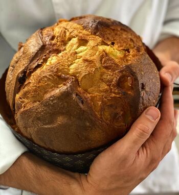 Panettone Artisanal Traditionnel aux fruits confits (600 g sans boîte cartonnée) 3