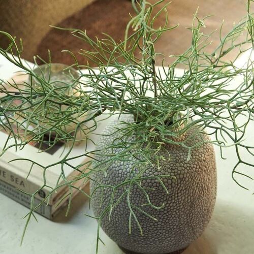 Asparagus Fern Bush - Artificial Stem - Abigail Ahern