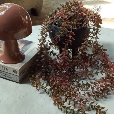 Selaginella traînante - Tige artificielle - Abigail Ahern