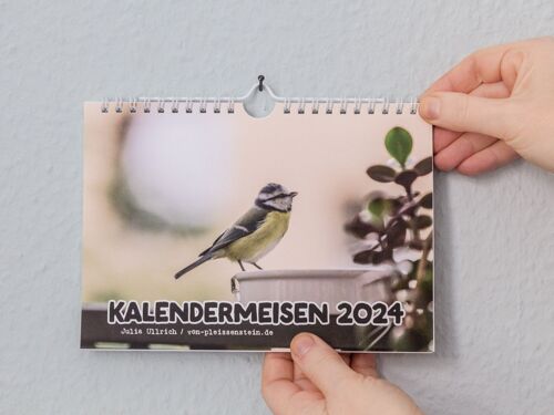 Kalender Blaumeisen 2024, DIN A5 Vogelkalender, 12 Monate