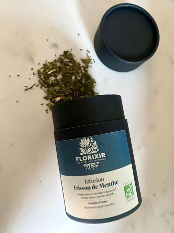 INFUSION MELANGES EN POTS  - Frisson de menthe