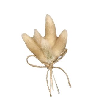 Bouquet lagurus 10cm 2