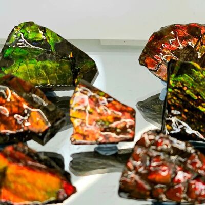 Pierre précieuse de cristal d'ammolite