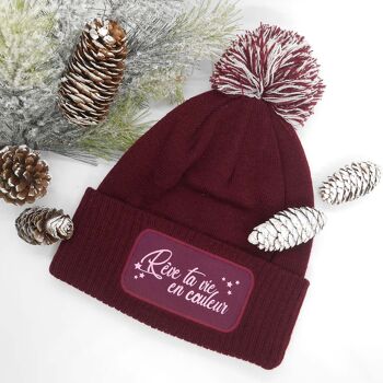 Bonnet chaud pour cet hiver "Rêve ta vie en couleur" 6 coloris disponibles 1