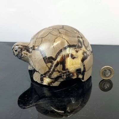 Septarian Crystal Turtle Carving - Sep Turt