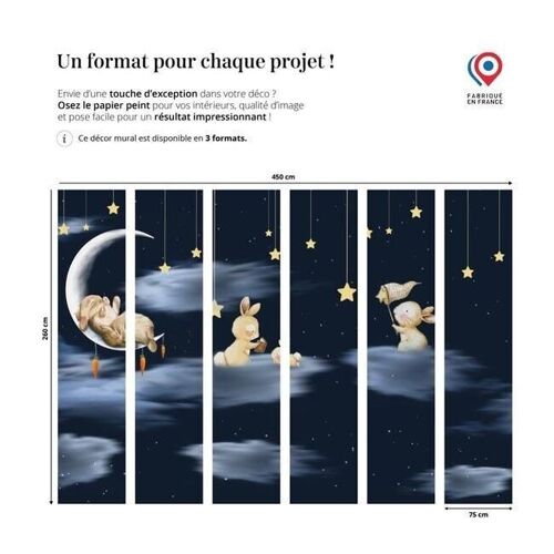 Papier peint lapin nuit étoilée lune L450cm x H260cm