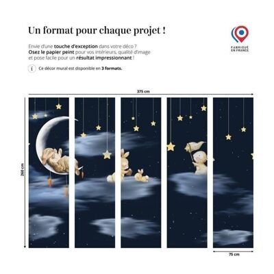 Papier peint lapin nuit étoilée lune L375cm x H260cm