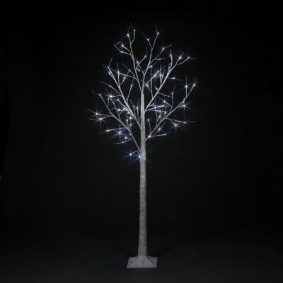 Bouleau blanc de Noël pré-éclairé avec 180 cm de hauteur et 80 micro LED blanc glacier froid.