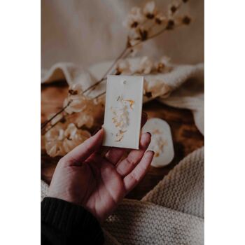CHRISTMAS COCOONING - Tablette de cire parfumée de Noël 2