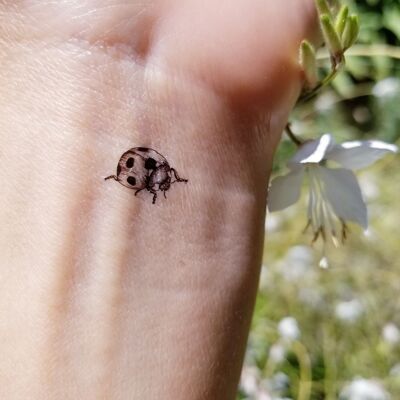 vintage ladybug temporary tattoo (set of 9)