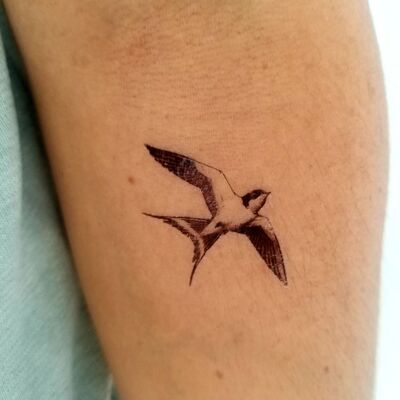 vintage swallow temporary tattoo (set of 2)