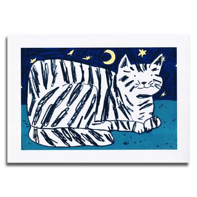 Stampa artistica del gattino Starlight