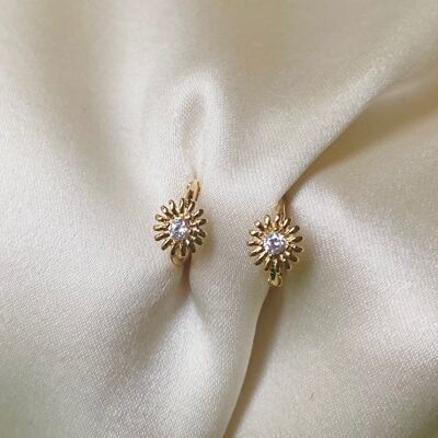 Loreto earring, rhinestone and gold-plated earring (BONS20)