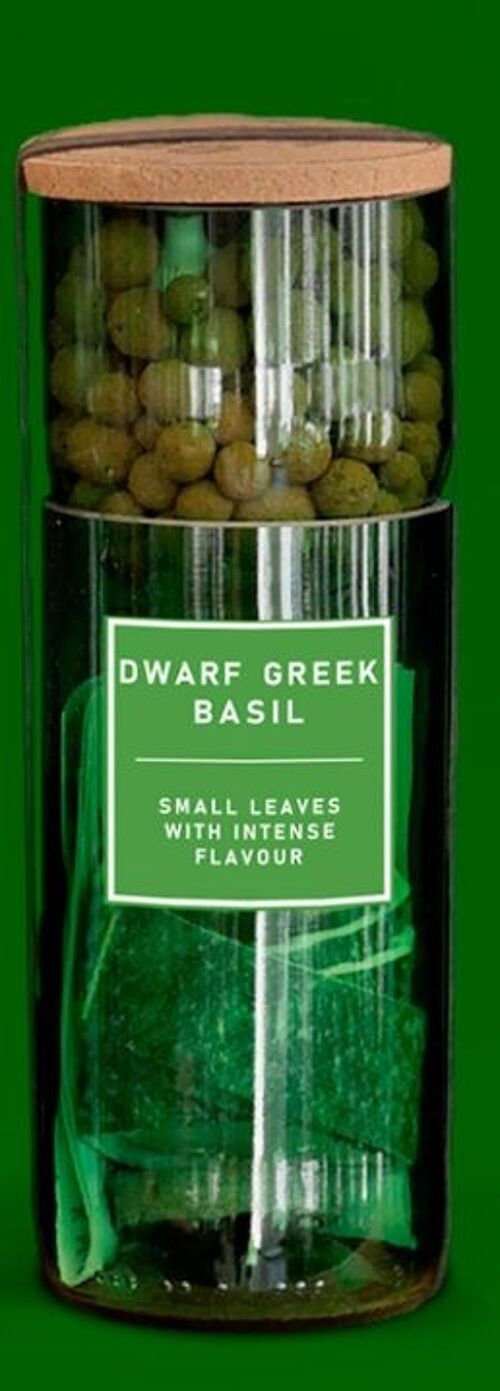 Dwarf Greek Basil Hydro Herb Kit.