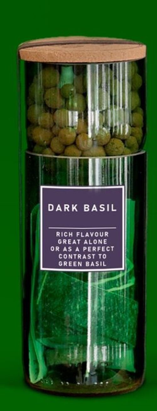 Dark Basil Hydro Herb Kit.