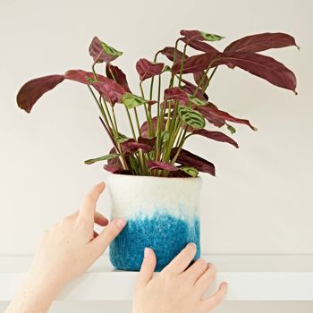 Couverture de pot de plante d’ombre turquoise en feutre faite à la main 2