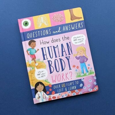 Large Question and Answer Flap Book - Human Body