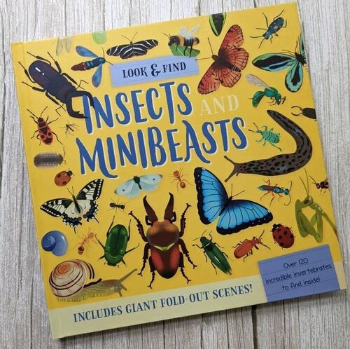 Nature Look & Find Book - Insects and Mini Beasts
