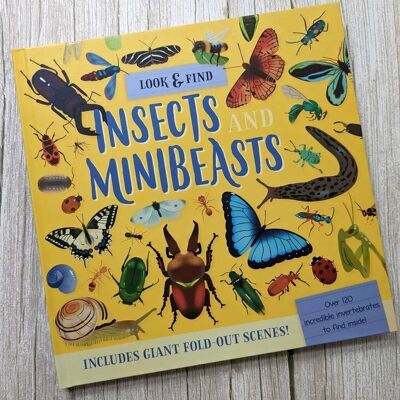 Nature Look & Find Book - Insects and Mini Beasts