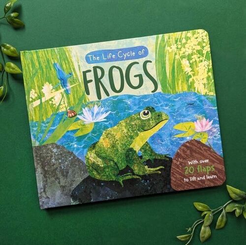 Life-Cycle Books - Frogs