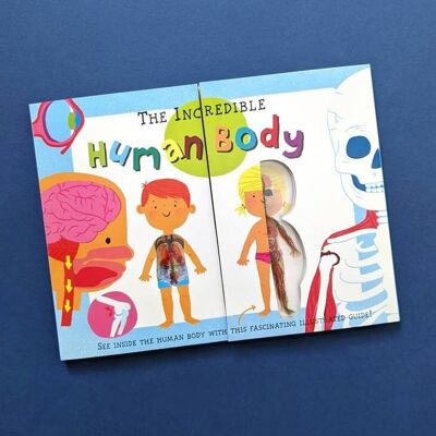 My First Human Body Book - New Version