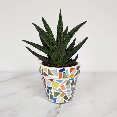 Luxe Decor Craft Kit - Mosaic Planter