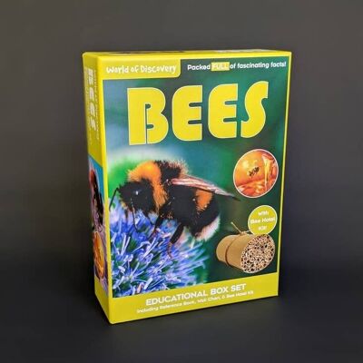 World of Discovery Box Set - Bees