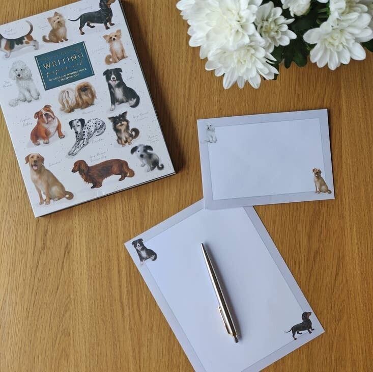 Pelle Pour Enfants SIENA GARDEN - Longueur 75cm, Manche En Hêtre Avec Poignée En T, Idéale Pour Le Jardinage