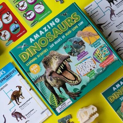 Amazing Dinosaurs - Activity Box Set