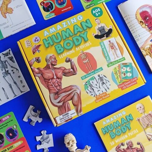 Amazing Human Body - Activity Box Set