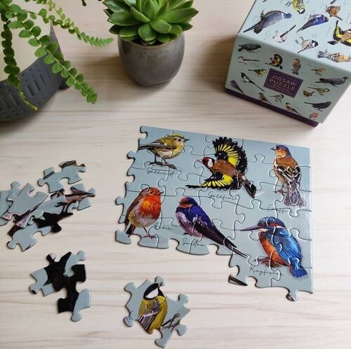 100 Piece Jigsaw - Birds