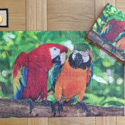 1000 Piece Jigsaw - Pair of Macaws